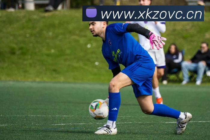 星空平台app官网全站App